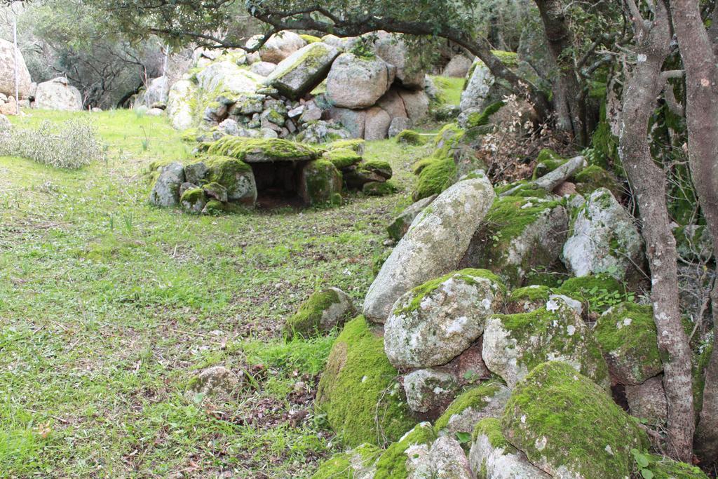 Agriturismo B&B Domo De Resteblas Berchidda Exterior photo